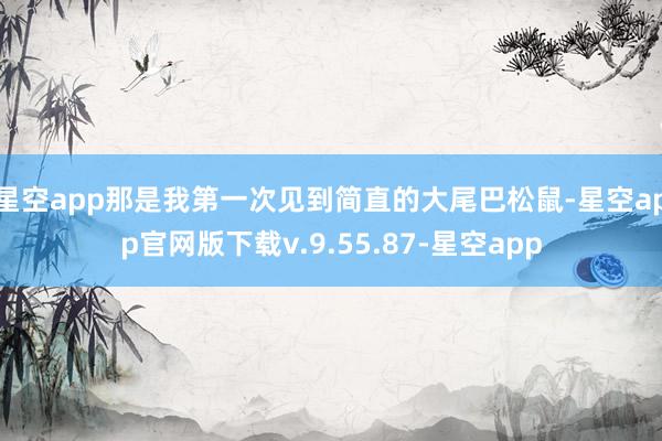 星空app那是我第一次见到简直的大尾巴松鼠-星空app官网版下载v.9.55.87-星空app