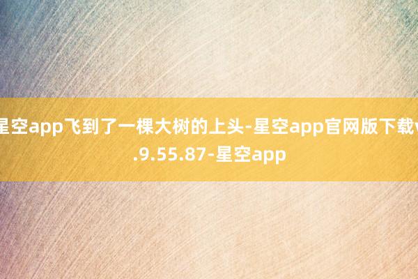 星空app飞到了一棵大树的上头-星空app官网版下载v.9.55.87-星空app
