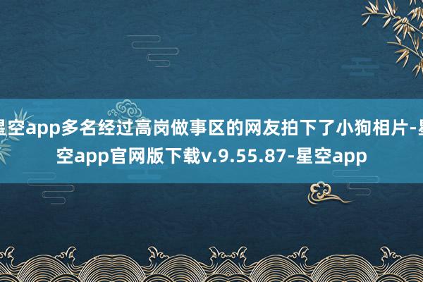 星空app多名经过高岗做事区的网友拍下了小狗相片-星空app官网版下载v.9.55.87-星空app