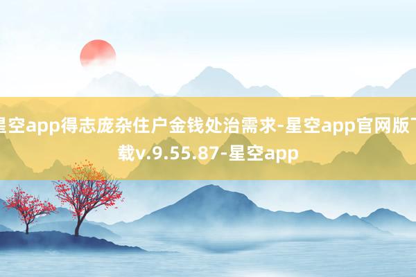 星空app得志庞杂住户金钱处治需求-星空app官网版下载v.9.55.87-星空app