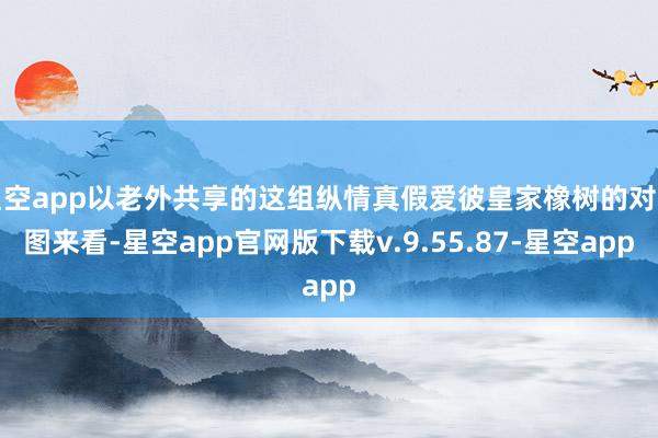 星空app以老外共享的这组纵情真假爱彼皇家橡树的对比图来看-星空app官网版下载v.9.55.87-星空app