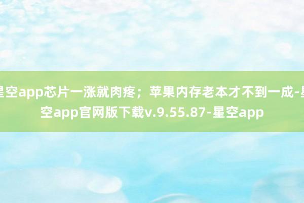 星空app芯片一涨就肉疼;苹果内存老本才不到一成-星空app官网版下载v.9.55.87-星空app