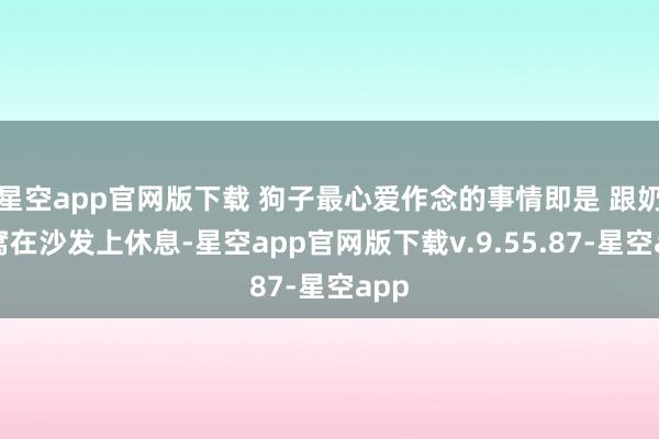星空app官网版下载 狗子最心爱作念的事情即是 跟奶奶窝在沙发上休息-星空app官网版下载v.9.55.87-星空app