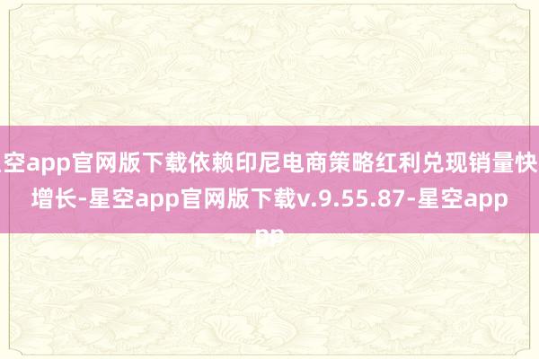 星空app官网版下载依赖印尼电商策略红利兑现销量快速增长-星空app官网版下载v.9.55.87-星空app